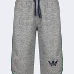 Classic, embroidery logo printed Men's Capri – Grey-Green-0