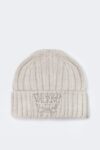 Woolen embroidered beanie