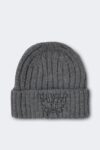 Woolen embroidered beanie