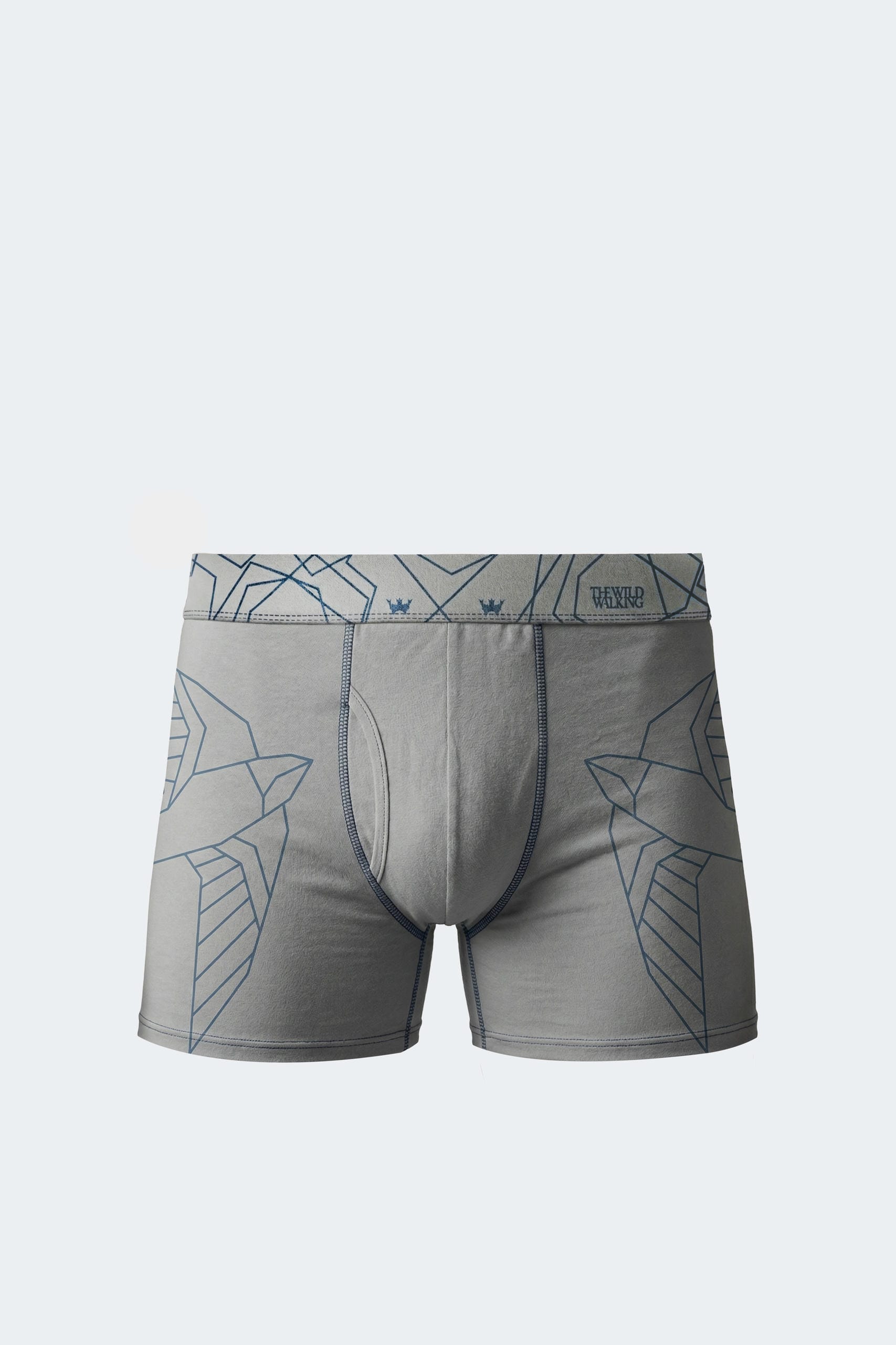 022-- Men's Boxer Briefs with Geometric Swallow Print - Image 1